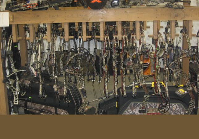 Bow Hunting & Archery